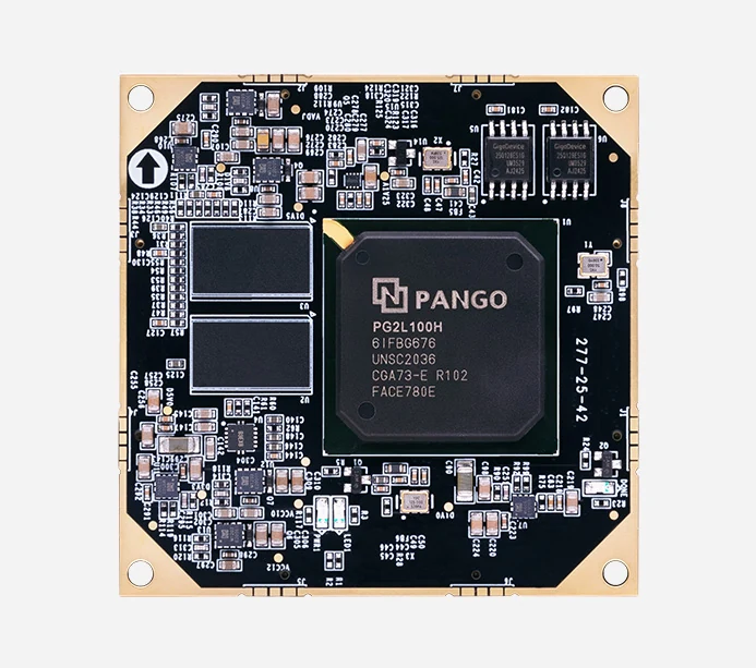 ALINX P100