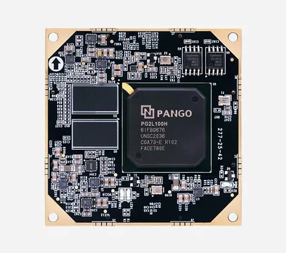 ALINX P100